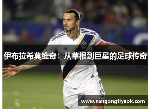 伊布拉希莫维奇：从草根到巨星的足球传奇