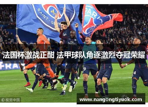 法国杯激战正酣 法甲球队角逐激烈夺冠荣耀